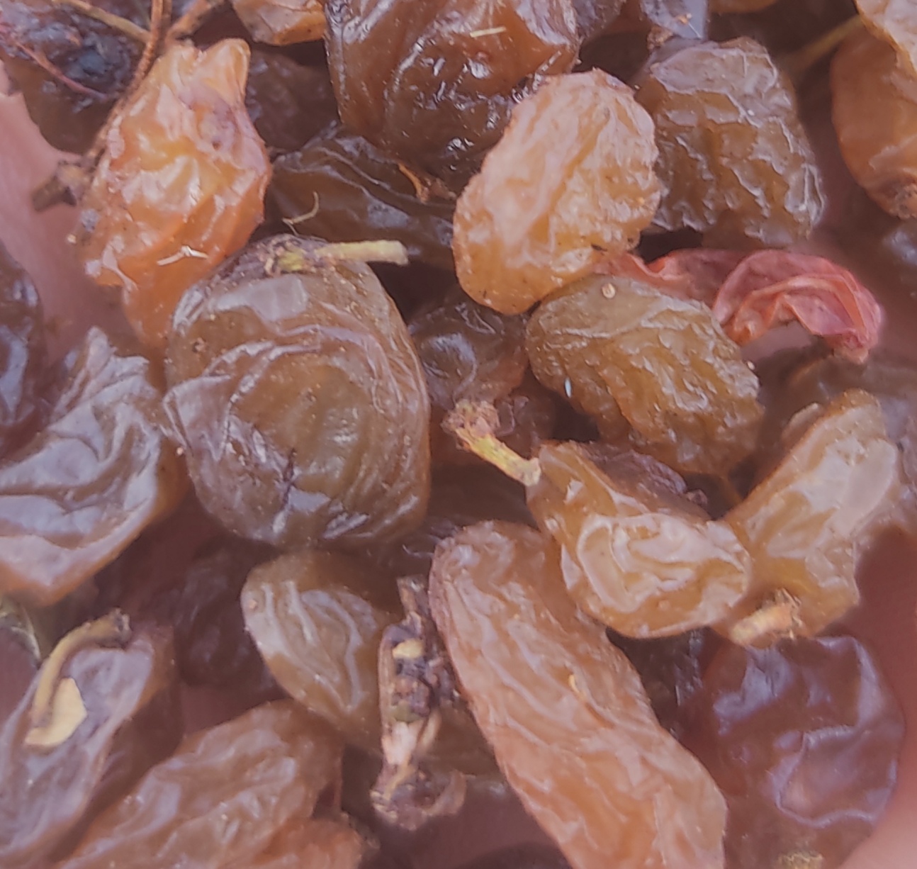 کشمش تیزآبی تاکستان
